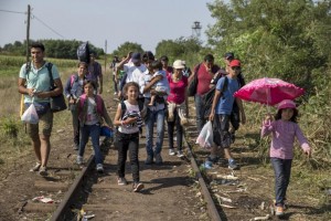 Migrants
